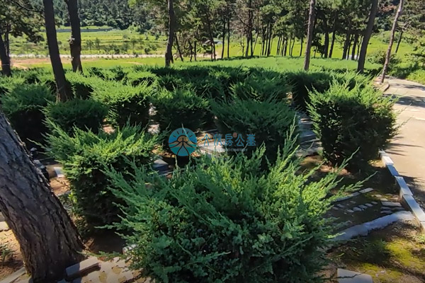 沈阳墓地墓碑选择指南：如何根据逝者需求挑选卧碑或立碑？