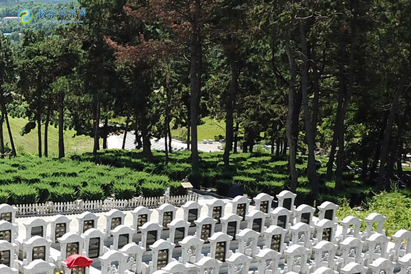 沈阳墓地墓碑上字不清楚对后代有影响吗？传统观念与实际影响分析